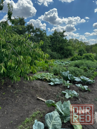 Продажа добротного дома , в г. Макеевка, Советский р-н Макеевка - изображение 9