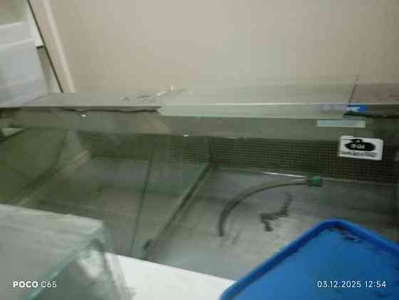 Отдам даром Донецк