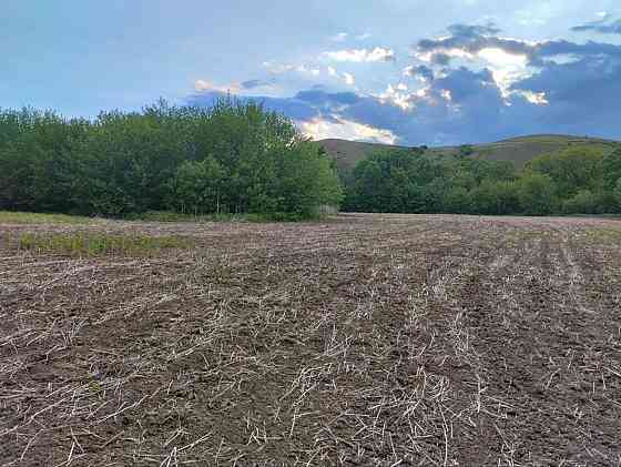 Цена снижена!!! Продам большой земельный участок! Амвросиевка