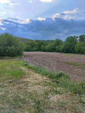 Цена снижена!!! Продам большой земельный участок! Амвросиевка