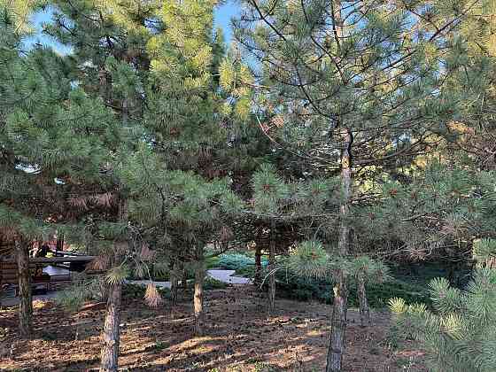 Дом в селе Бердянское Мариуполь