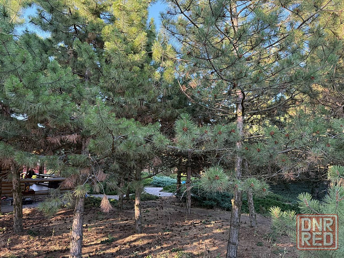 Дом в селе Бердянское Мариуполь - изображение 4