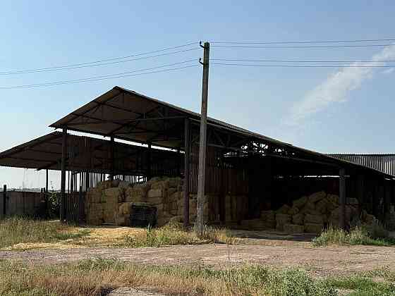 Продажа комплекса зданий в Пролетарском районе Донецка 2025 м. кв. Донецк