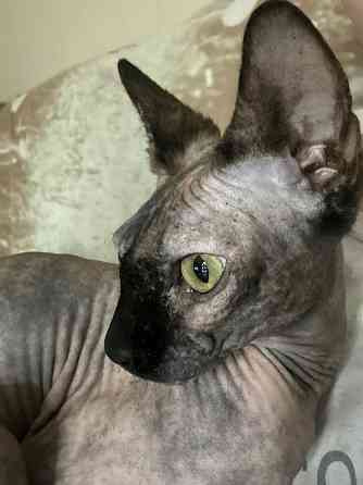 Продам Горловка