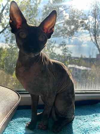 Продам Горловка