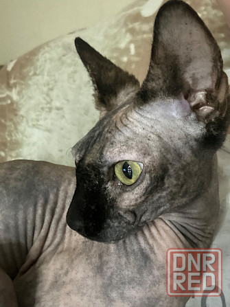 Продам Горловка - изображение 1