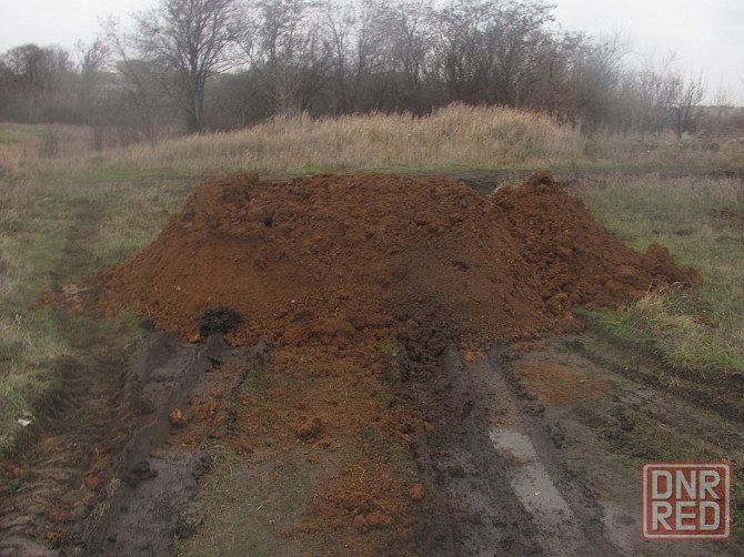 Не нашла мужика, за только лет Донецк - изображение 1