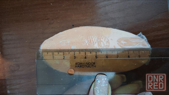 Сепия, каракатица для попугаев Донецк - изображение 2