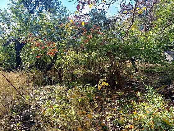 Продам дом в центре, проспект Богдана Хмельницкого Донецк