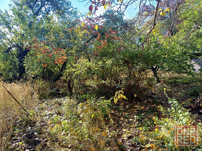 Продам дом в центре, проспект Богдана Хмельницкого Донецк - изображение 1