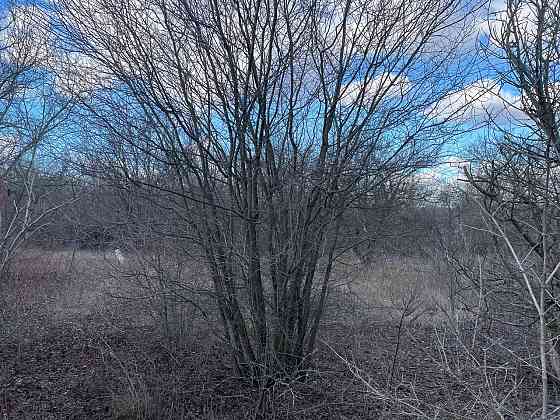 Продажа участка под строительство или сад\огород Донецк