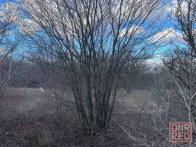 Продажа участка под строительство или сад\огород Донецк - изображение 2