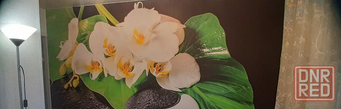 2-к квартира, 52 м2, 2 эт. Мариуполь - изображение 3