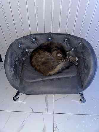 Лежанка для мелких собак, котов Макеевка