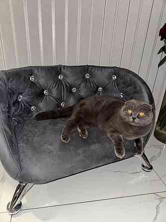 Лежанка для мелких собак, котов Макеевка