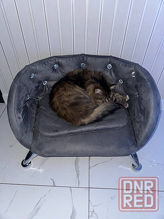 Лежанка для мелких собак, котов Макеевка - изображение 3