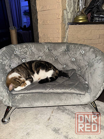 Лежанка для мелких собак, котов Макеевка - изображение 4