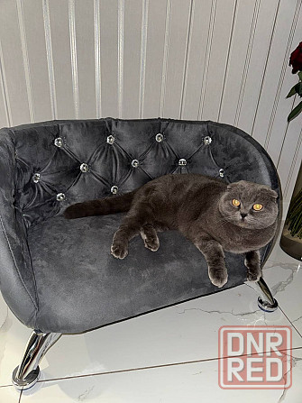 Лежанка для мелких собак, котов Макеевка - изображение 1