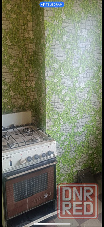 2х ком. квартира под ремонт! микр-н Зелёный Макеевка - изображение 2