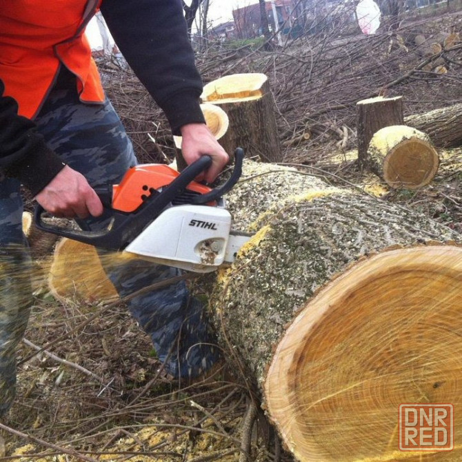 Требуются рабочие по спилу деревьев Донецк - изображение 1