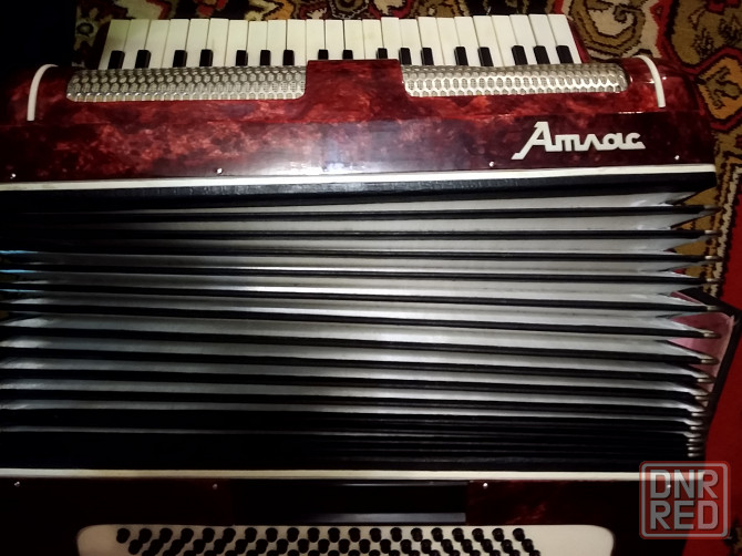 Аккордеон Донецк - изображение 2