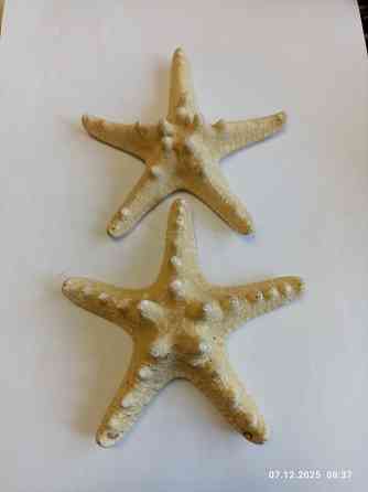 Звёзды натуральные Донецк