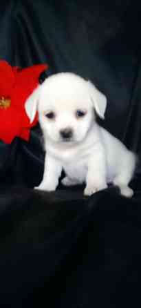 Девочка Донецк