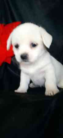 Девочка Донецк