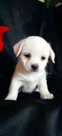 Девочка Донецк