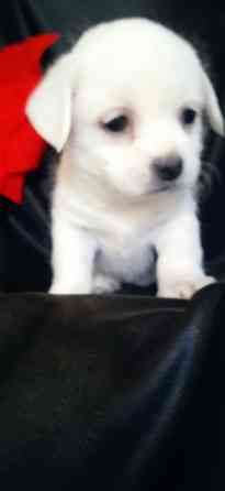 Девочка Донецк