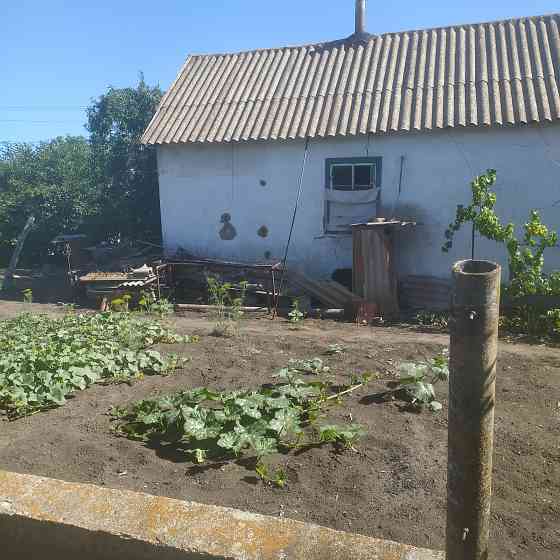 Продам дом в пгт.Кутейниково (Амвросиевский р-н) Донецк