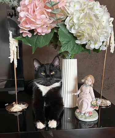 Ищем жениха для первой вязки Донецк