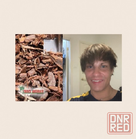 Та сосновую, почему не Волынь Донецк - изображение 1