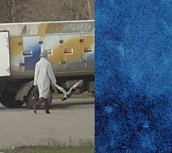 Інкогніто 'Москалюк' сбоку' уход Донецк