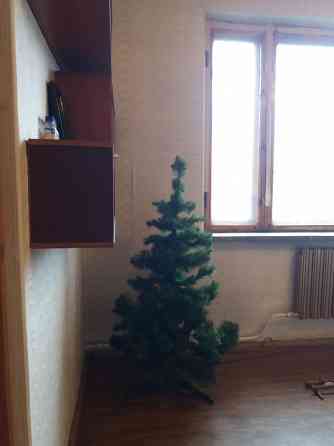 продам елку ель сосну 156 см Донецк