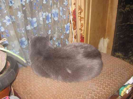 Никак цветы, тудой не заехать^ Донецк