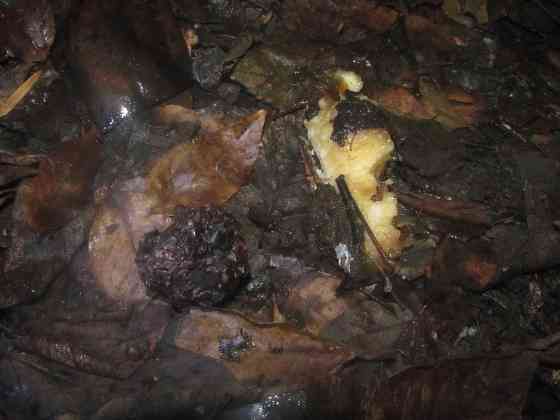 Друже* маразматик хворе серц Донецк