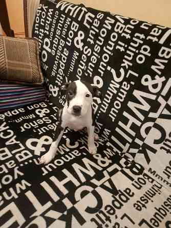 Не дорого Донецк