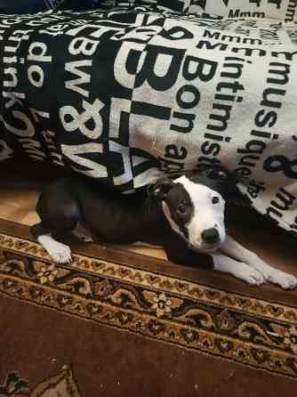 Не дорого Донецк