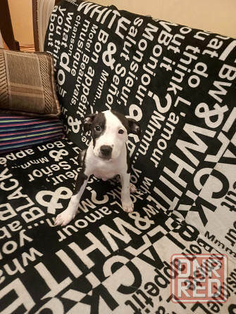 Не дорого Донецк - изображение 2