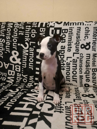 Не дорого Донецк - изображение 4