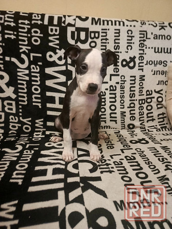 Не дорого Донецк - изображение 3