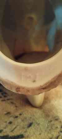 Продам статуэтку голубь Донецк