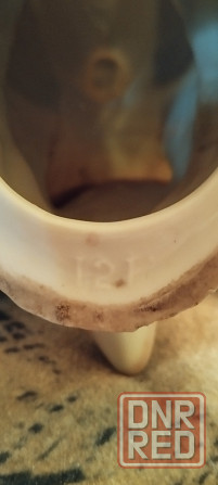 Продам статуэтку голубь Донецк - изображение 6