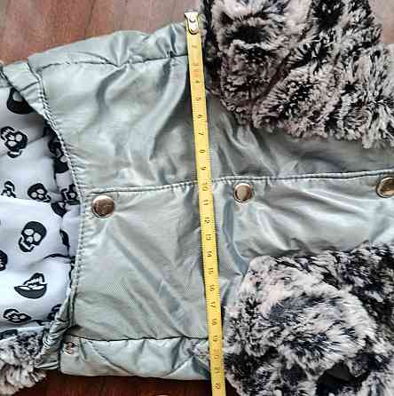 Комбинезон для собак мелких пород утепленный. Донецк