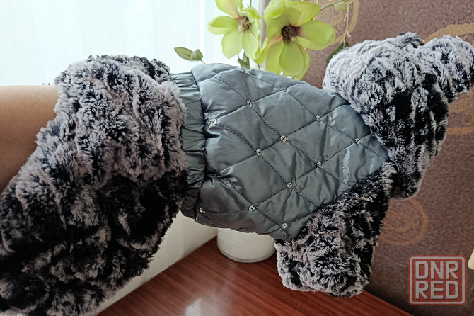 Комбинезон для собак мелких пород утепленный. Донецк - изображение 1