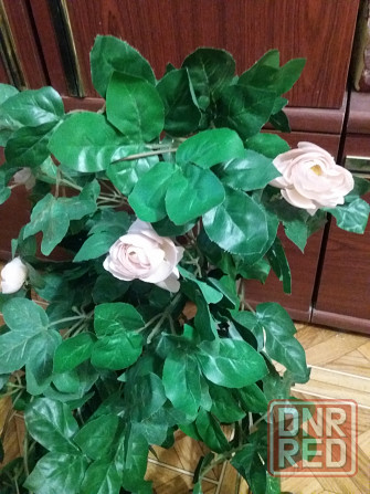 Продам цветок вьющийс искусственный климатис роза Донецк - изображение 7