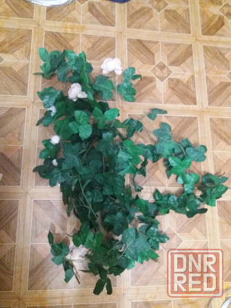 Продам цветок вьющийс искусственный климатис роза Донецк - изображение 6