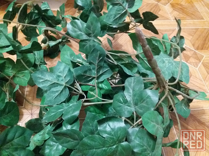 Продам цветок вьющийс искусственный климатис роза Донецк - изображение 3