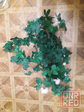 Продам цветок вьющийс искусственный климатис роза Донецк - изображение 8